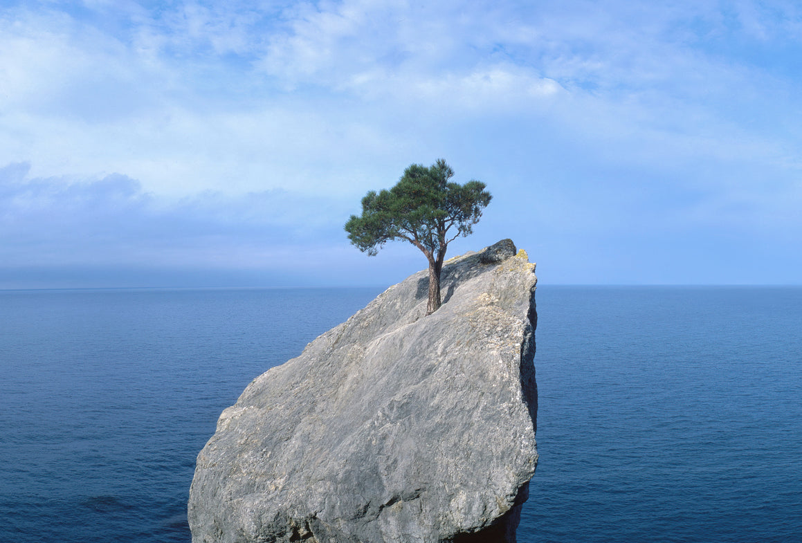 How to encourage resilience in your family